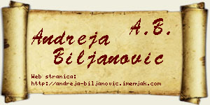 Andreja Biljanović vizit kartica